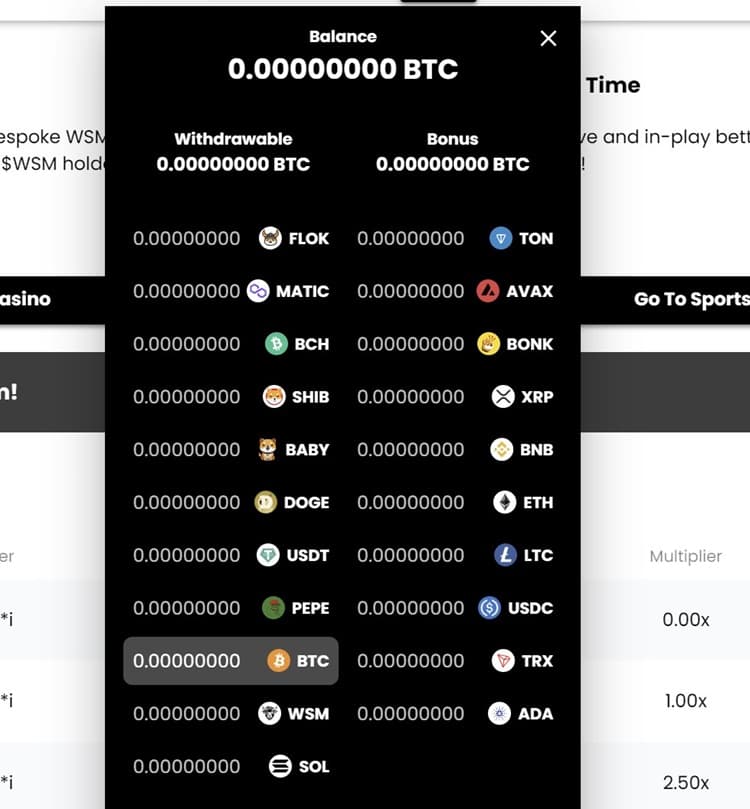 WSM Casino Payment Methods