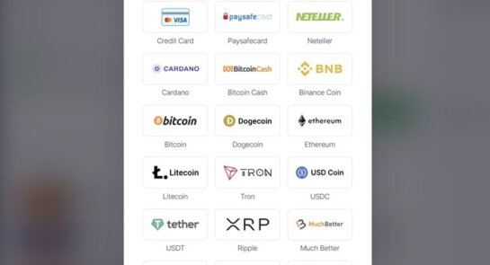 BitStarz Payment Methods Overview