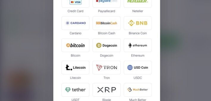 BitStarz Payment Methods Overview